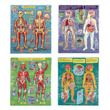 eeBoo Ready to Learn – Human Anatomy, Dragonfly Toys 