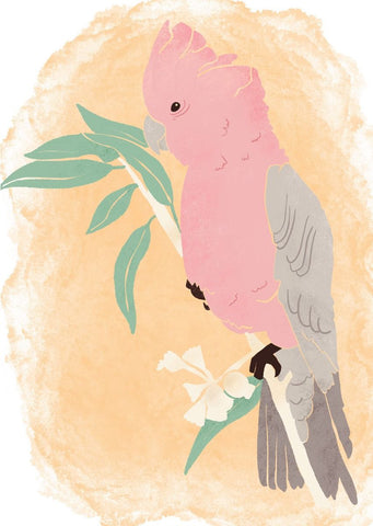 Greeting Card - Pink Galah by Studio Geneva
