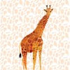 Greeting Card-  Giraffe by Hanrie Coetzee