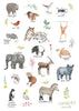 Greeting Card - Endangered Animals -  Jess Racklyeft  - Jess Mess