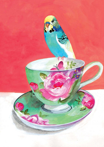 Greeting Card - Budgerigar - Daniela Glassop