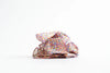 Laura’s Play Cotton Confetti Rainbow 50 x 50 cm