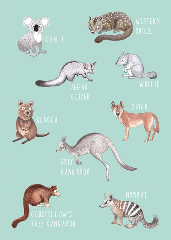 Greeting Card - Australia Animlas - Tania McCartney