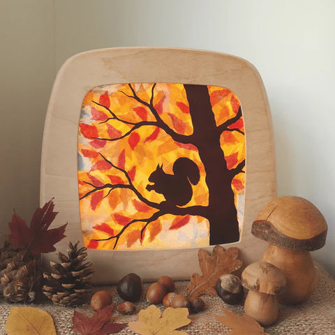 Toverlux DIY Transparency Autumn