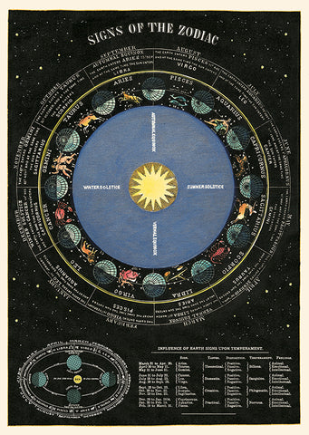 Cavallini Poster/Wrap - Zodiac Chart, Dragonfly Toys