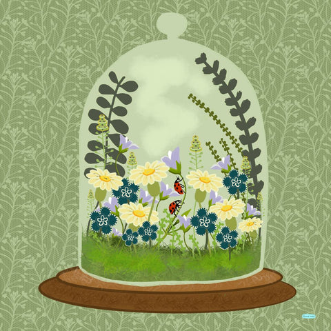 Greeting Card - Terrarium Daisies, Dragonfly Toys 
