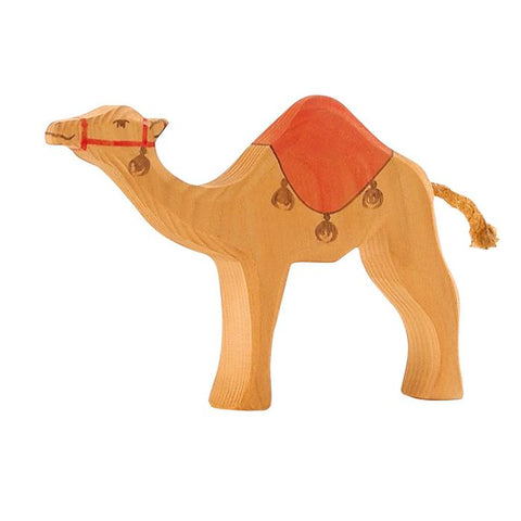 Dromedary Camel with saddle (41913) by Ostheimer