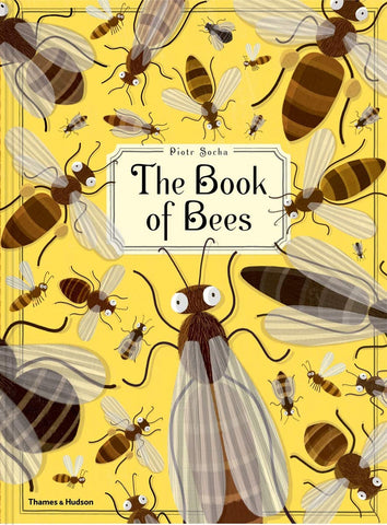 Book of Bees, Dragonflytoys