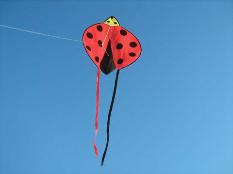 Ladybird Kite, Dragonflytoys