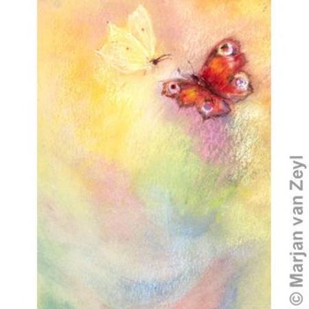 Butterfly World Postcard Dragonfly Toys 