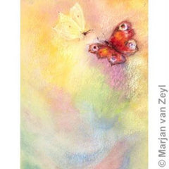 Butterfly World Postcard Dragonfly Toys 