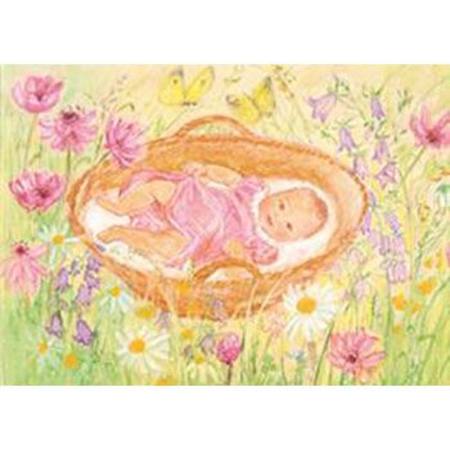 Baby in Basket Postcard, Dragonfly toys