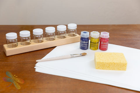 Basic Stockmar Watercolour Paint Set with Paint Brush, Sponge, Paint Jar Holders and Wet on Wet Paper, dragonfly toys