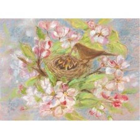 Blackbird Nest Postcard