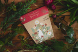 Christmas Greetings Gift of Seeds ( Native Everlasting Daisy), Dragonflytoys 