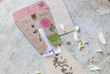 Dahlia Gift of Seeds by Sow n Sow