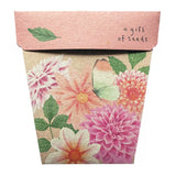 Dahlia Gift of Seeds by Sow n Sow