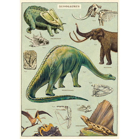 Cavallini & Co Wrap - Dinosaurs