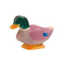 Duck Drake (13211) - Ostheimer