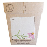 Echinacea Seeds by Sow n Sow