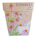 Echinacea Seeds by Sow n Sow