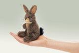 Folkmanis Finger Puppet - Jack Rabbit – Dragonfly Toys