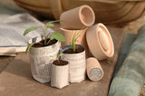 Eco Paper Pot Maker, Dragonfly Toys 