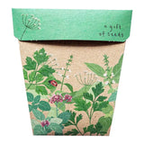 Garden Herbs Gift of Seeds by Sow n Sow, Dragonfly Toys 