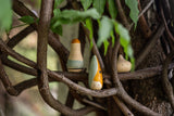 Grapat Hooray New in 2022 Dragonfly Toys 