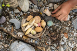 Wonders by Grapat  New in 2022. Dragonfly Toys 