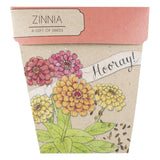 Zinnia Seeds by Sow n Sow Dragonfly Toys 