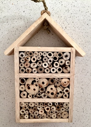 Insect House