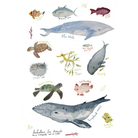 Greeting Card - Sea Animals JM 226