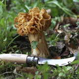 Mushroom Knife No 08 - Opinel, Dragonfly Toys