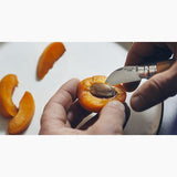 No 7 Traditional Chestnuts, garlic and pitting knifeDragonfly Toys 