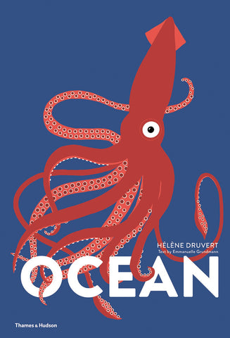 Ocean Cut Out Book