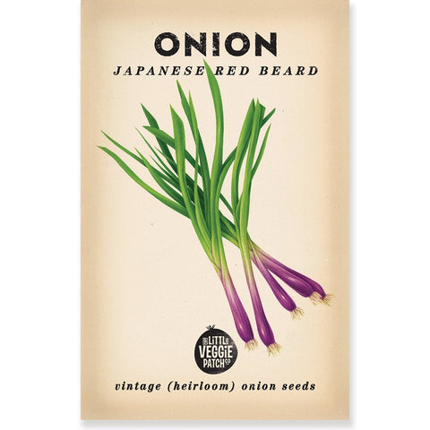 Heirloom Flower Seeds - Onion 'Japanese Red Beard'Dragonflytoys