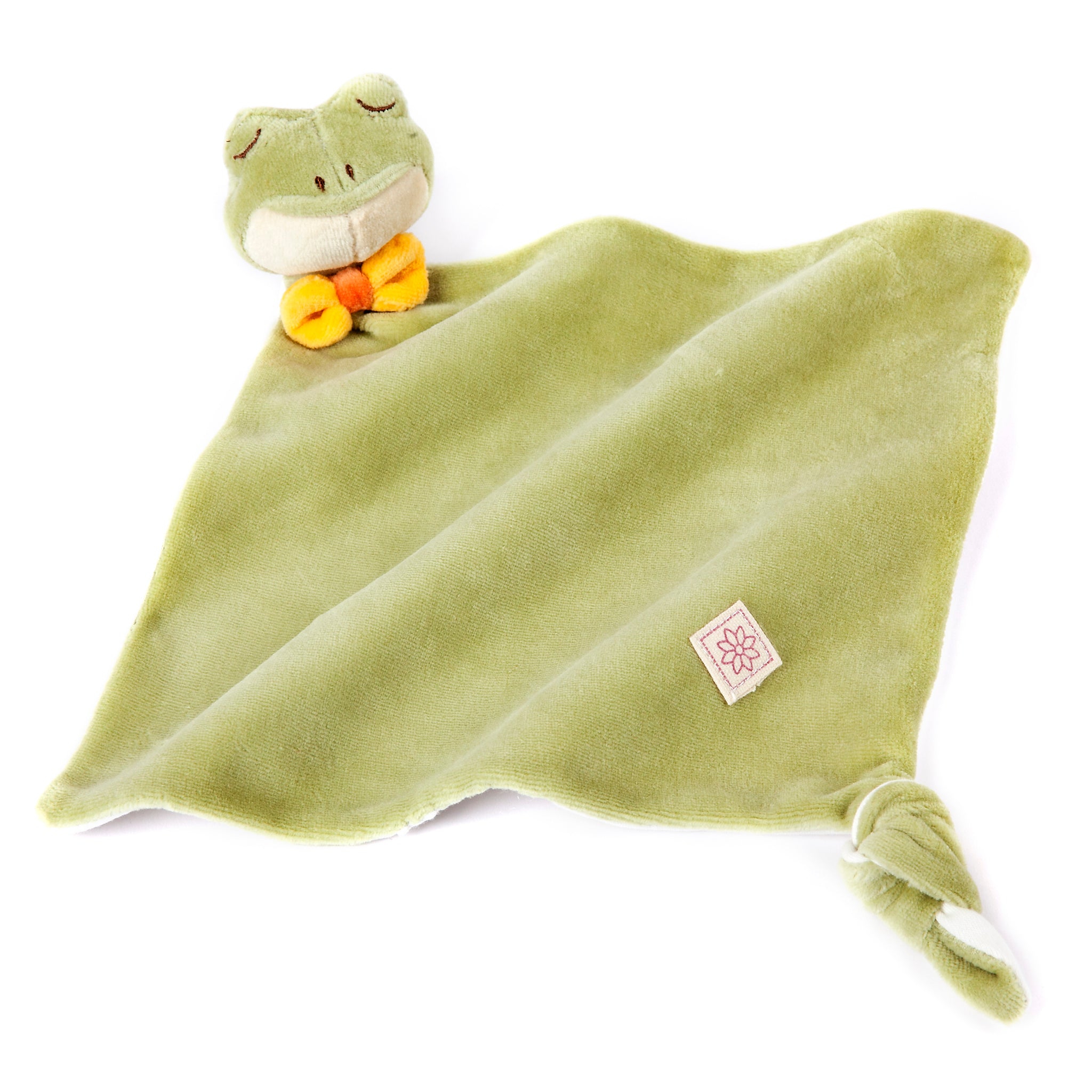 Lovey Blanket Frog Baby Blanket Putty Nursery Mint Frog Character