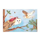Owl Travellers Music Box Enchantmints Dragonflytoys