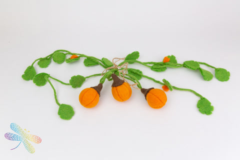 Felt pumpkin with vines, Papoose, dragonfly toys
