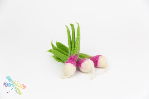 Felt turnips, Papoose, dragonfly toys
