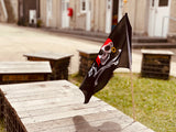 Pirate Flag, Dragonfly Toys