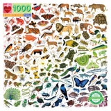 Rainbow World Puzzle (1000 Pieces)Puzzle by Eeboo, Dragonflytoys 