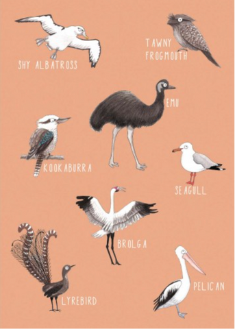 Greeting Card - Birds of Australia, Dragonfly Toys 