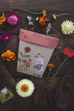 Secret Garden Seeds by Sow n Sow (Marigold, Sunflowers and Zinnia)