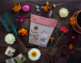 Secret Garden Seeds by Sow n Sow (Marigold, Sunflowers and Zinnia)