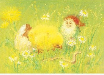 Spring Chicken