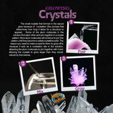 Test Tube | Growing Crystals, Dragonfly Toys 