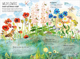 The Big Book of the Blooms, Dragonfly Toys 