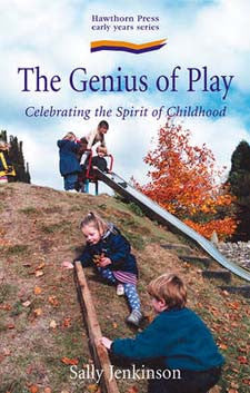 The Genius of Play   Celebrating the Spirit of Childhood